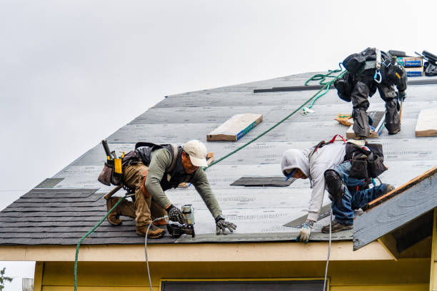 Professional Emergency Roof Repair technician working in Skandia, MI